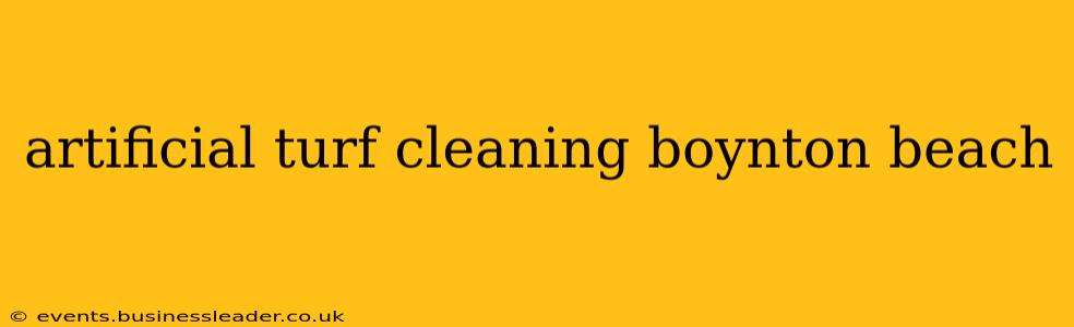artificial turf cleaning boynton beach