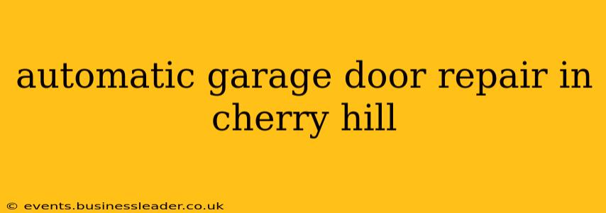 automatic garage door repair in cherry hill