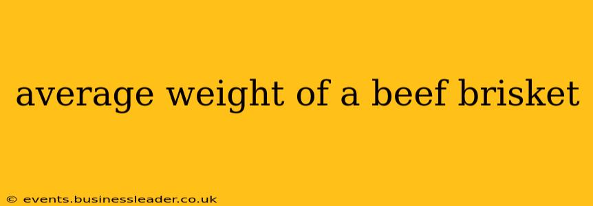 average weight of a beef brisket