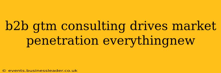 b2b gtm consulting drives market penetration everythingnew