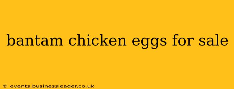 bantam chicken eggs for sale
