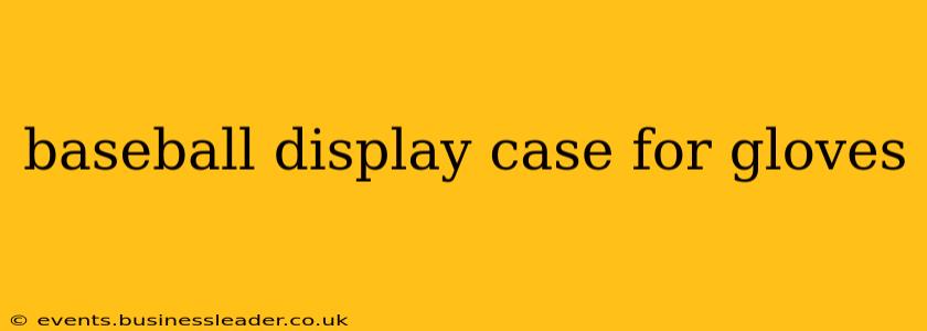 baseball display case for gloves
