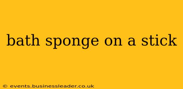 bath sponge on a stick