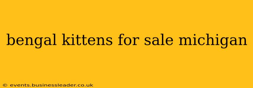 bengal kittens for sale michigan