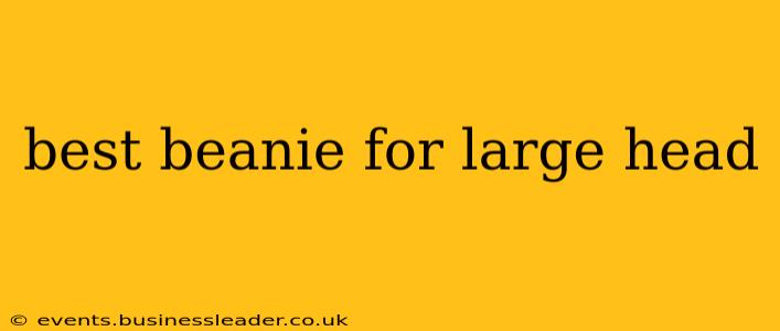 best beanie for large head
