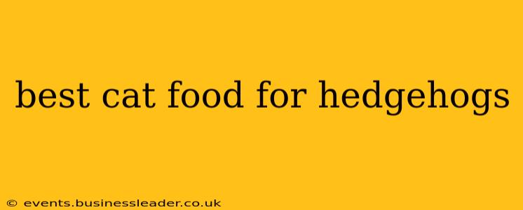 best cat food for hedgehogs