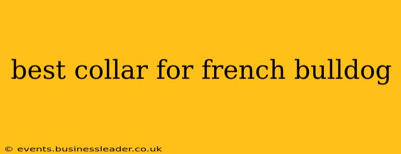 best collar for french bulldog