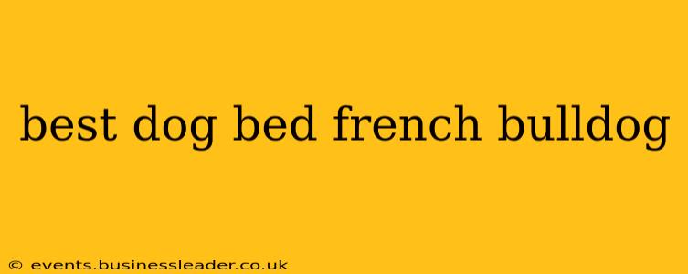 best dog bed french bulldog