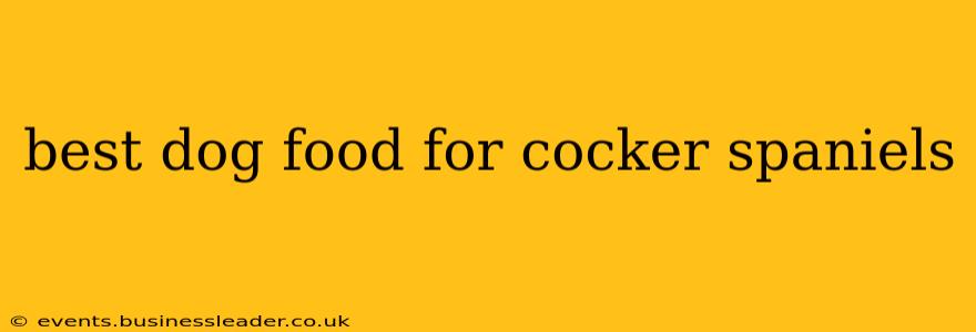 best dog food for cocker spaniels