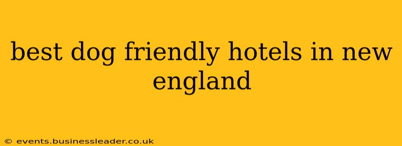 best dog friendly hotels in new england