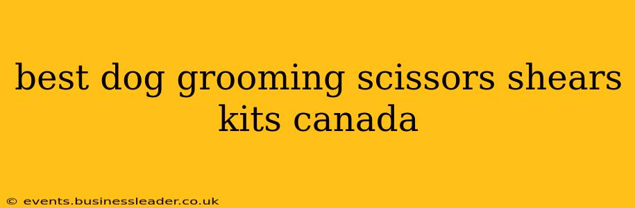 best dog grooming scissors shears kits canada