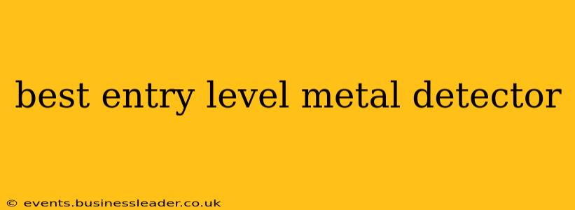 best entry level metal detector