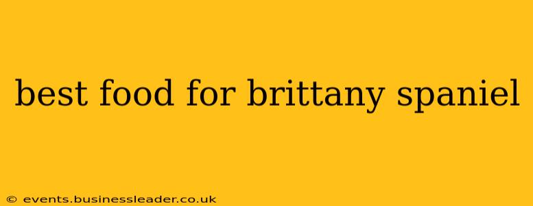 best food for brittany spaniel