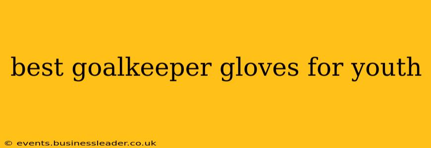 best goalkeeper gloves for youth