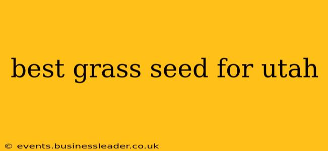 best grass seed for utah