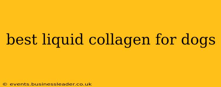 best liquid collagen for dogs