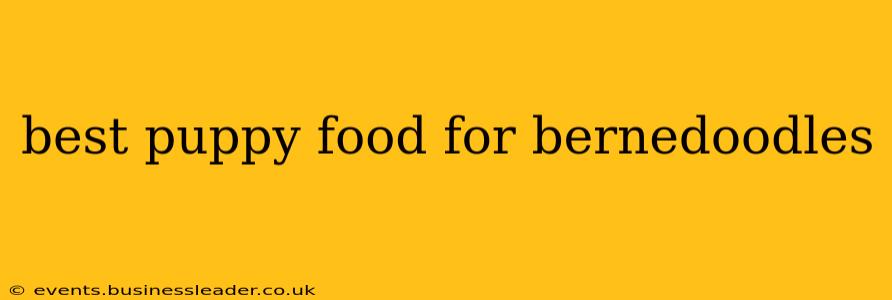 best puppy food for bernedoodles