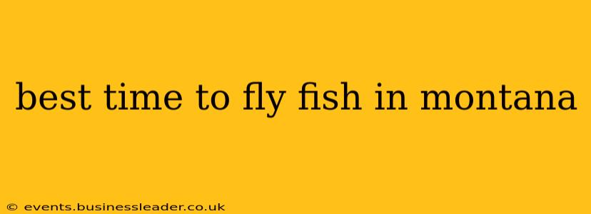 best time to fly fish in montana
