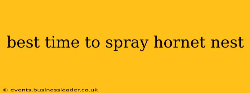 best time to spray hornet nest