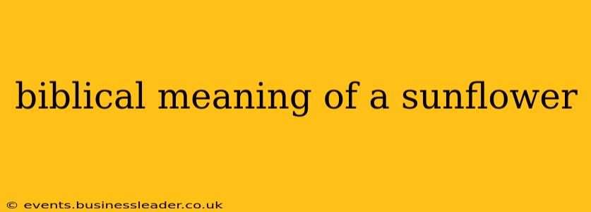 biblical meaning of a sunflower