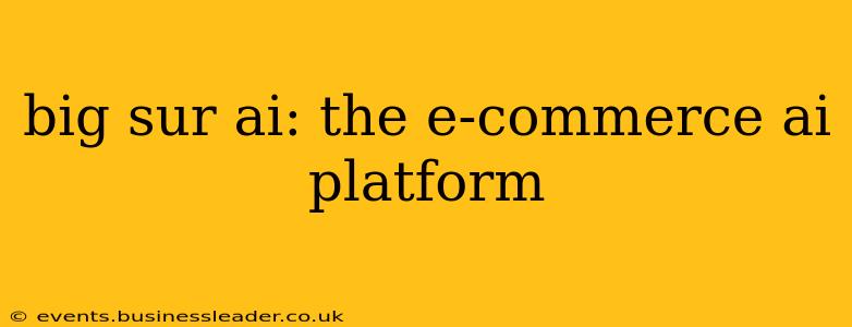 big sur ai: the e-commerce ai platform