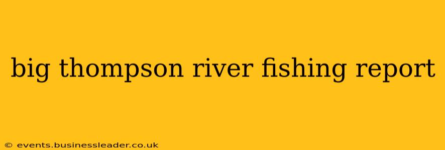 big thompson river fishing report