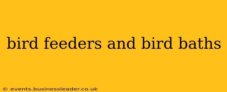 bird feeders and bird baths