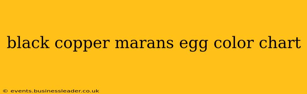 black copper marans egg color chart