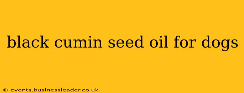 black cumin seed oil for dogs
