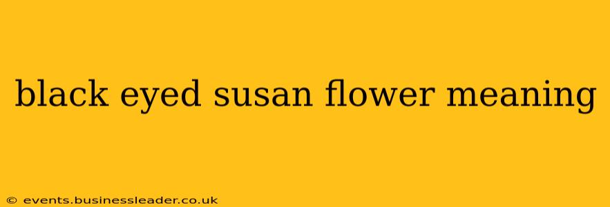 black eyed susan flower meaning