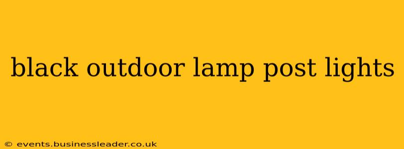 black outdoor lamp post lights