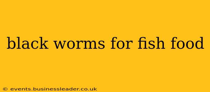 black worms for fish food