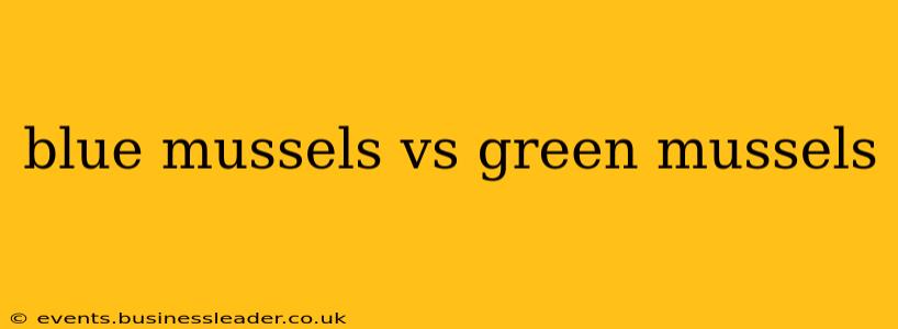 blue mussels vs green mussels