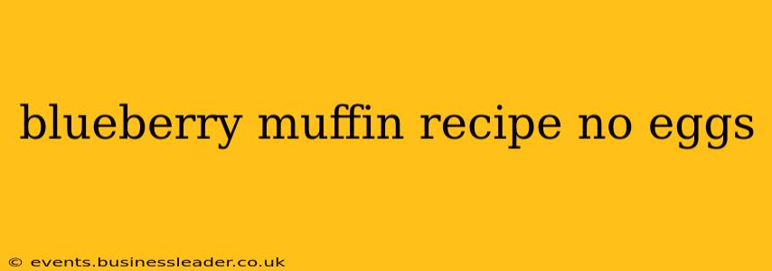 blueberry muffin recipe no eggs