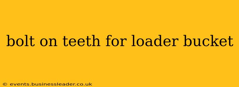 bolt on teeth for loader bucket