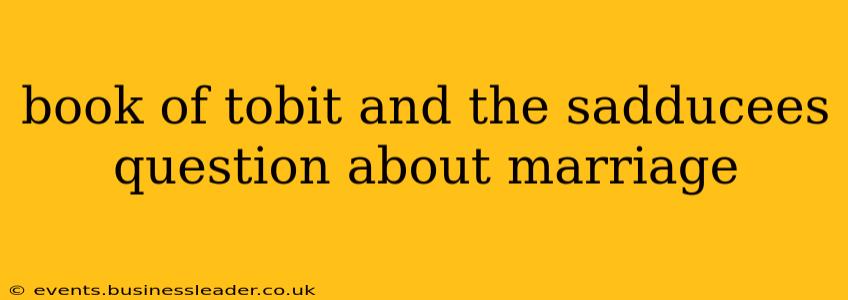 book of tobit and the sadducees question about marriage