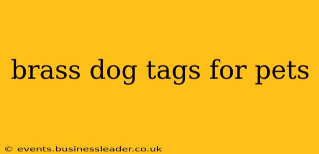 brass dog tags for pets