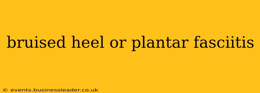 bruised heel or plantar fasciitis