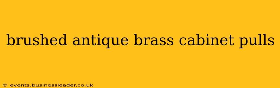 brushed antique brass cabinet pulls