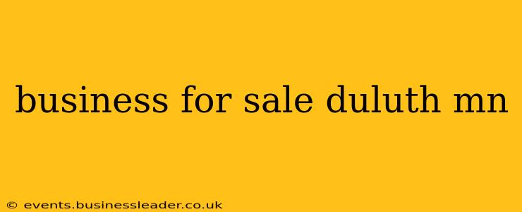 business for sale duluth mn