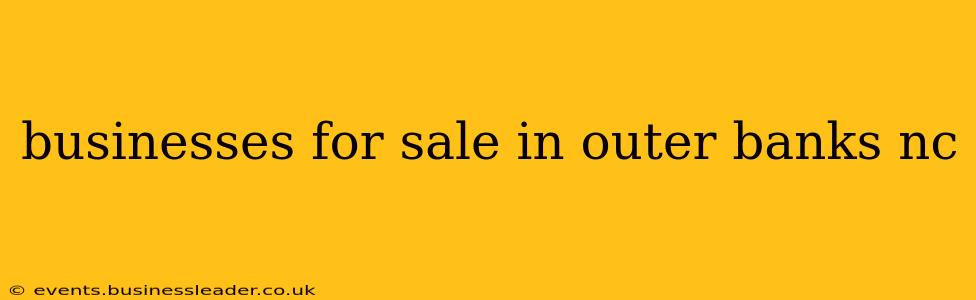 businesses for sale in outer banks nc