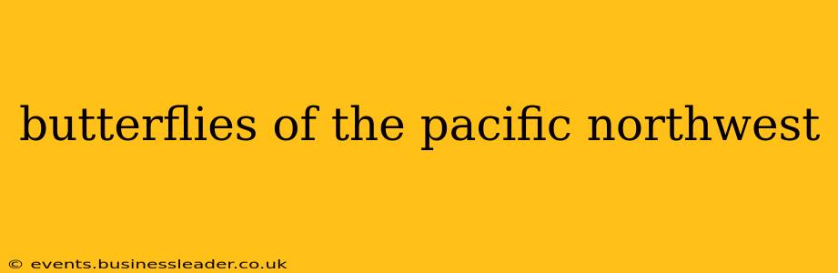 butterflies of the pacific northwest