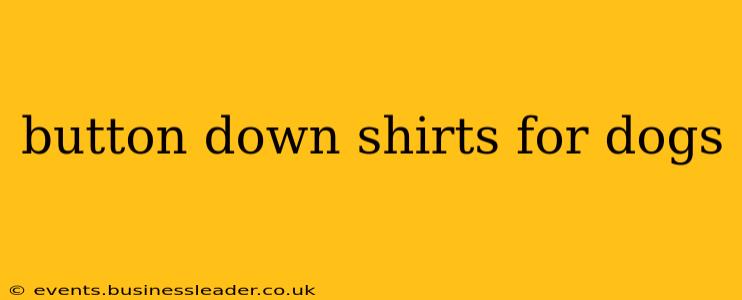 button down shirts for dogs