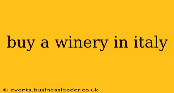 buy a winery in italy