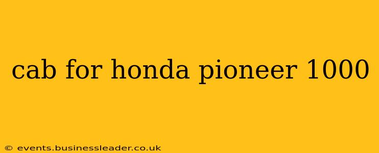 cab for honda pioneer 1000
