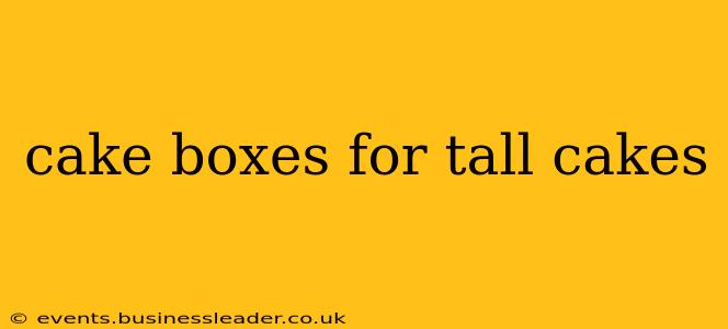 cake boxes for tall cakes