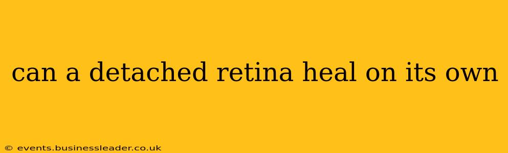 can a detached retina heal on its own