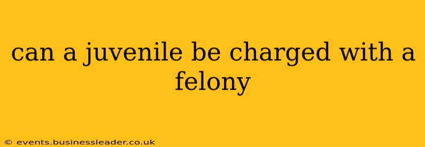 can a juvenile be charged with a felony