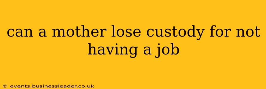 can a mother lose custody for not having a job