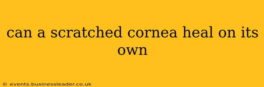 can a scratched cornea heal on its own